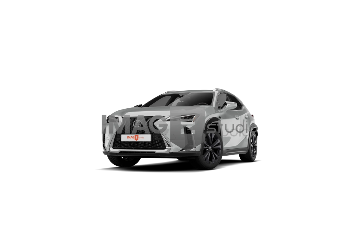  Lexus UX 300h