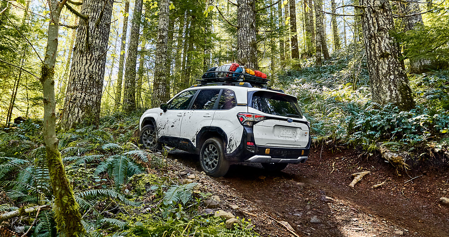 2026 Subaru Forester — photo 3